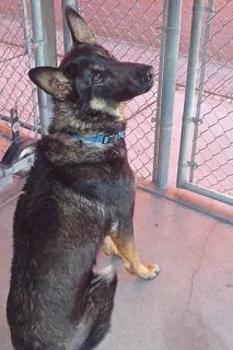 Cashsmart Boy Who Comes thumbnail 2