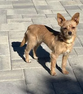 Stella And Bella Norwich photo 1