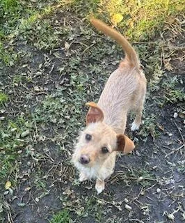 Stella And Bella Norwich thumbnail 3