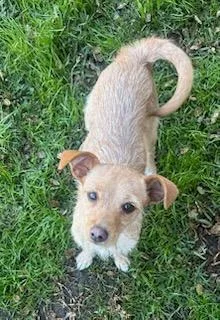 Stella And Bella Norwich thumbnail 4