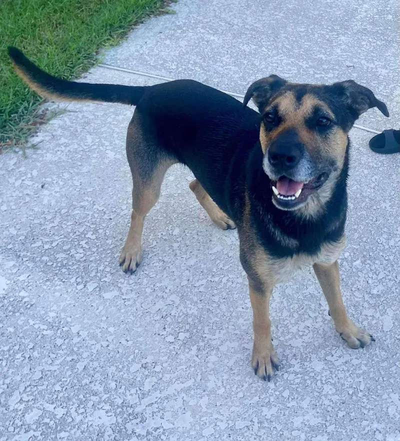 Sophie Pc thumbnail 2