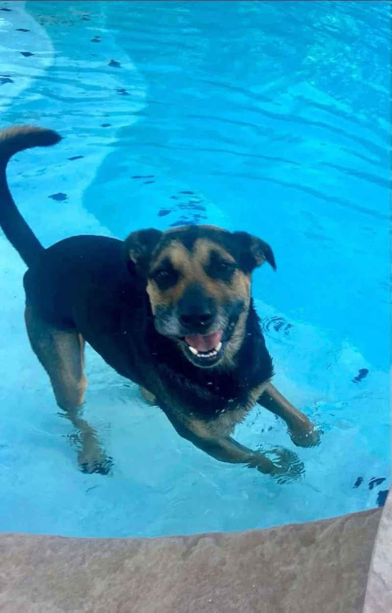 Sophie Pc thumbnail 3