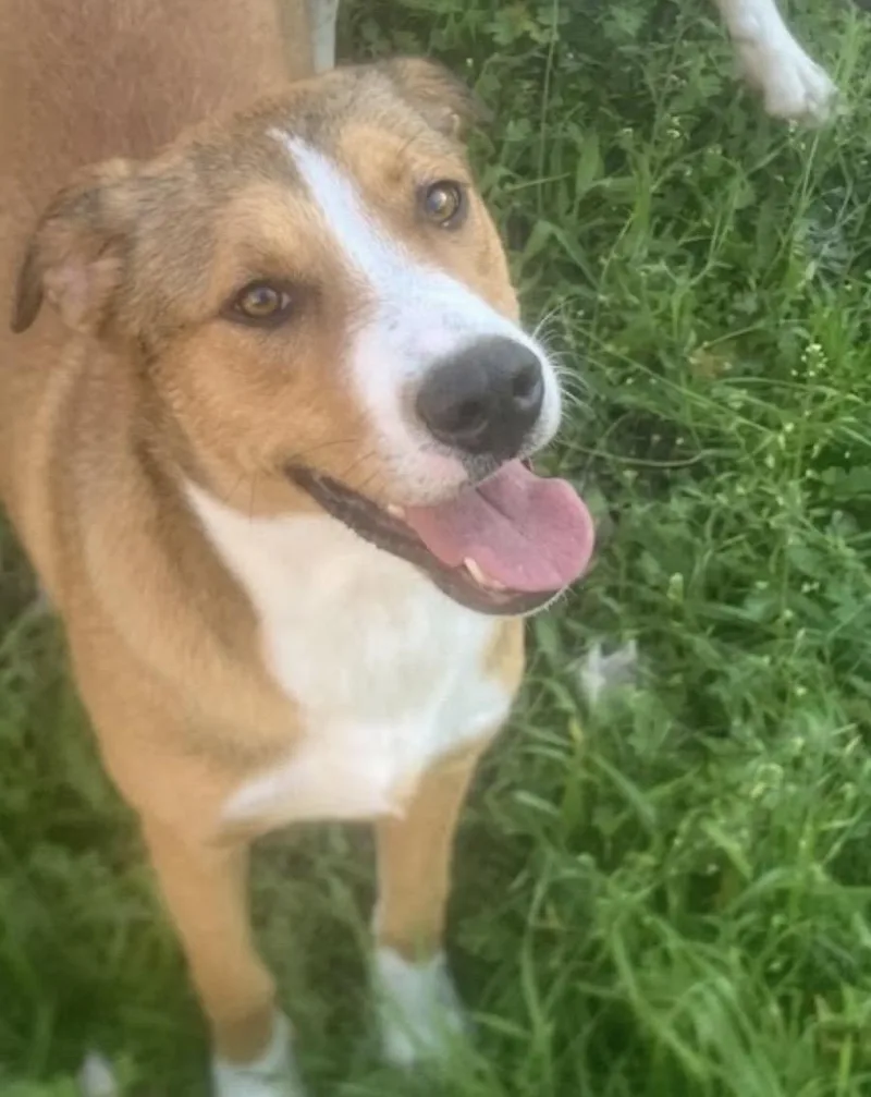 Miss Snuggles! The Softhearted thumbnail 2