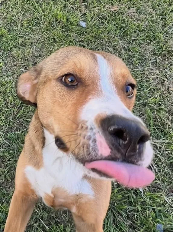 Miss Snuggles! The Softhearted thumbnail 5