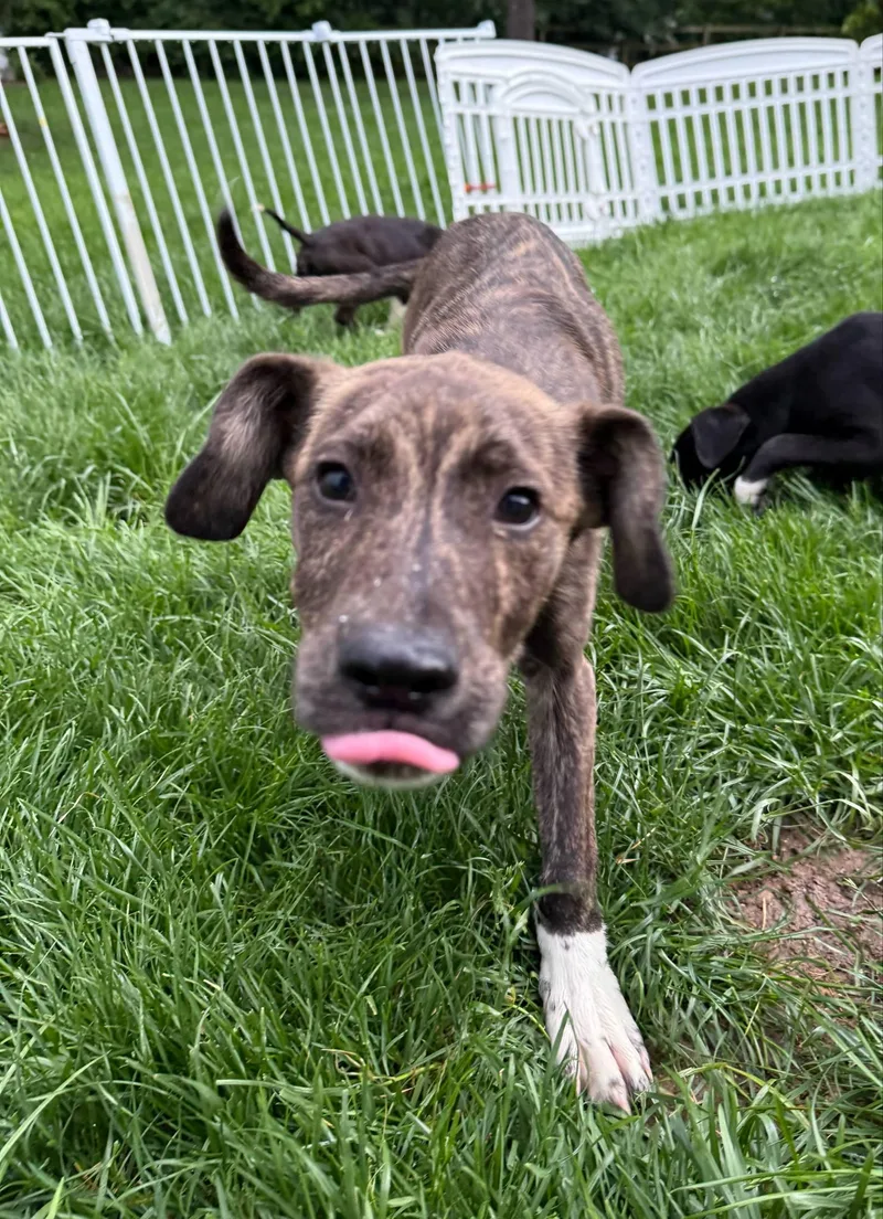 John Deere thumbnail 2