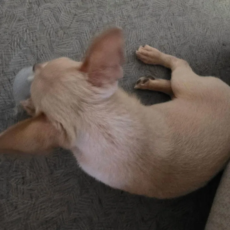 Blanca thumbnail 4