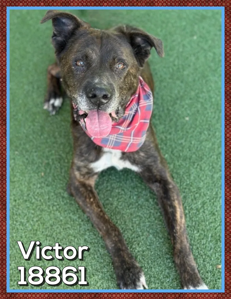 Victor