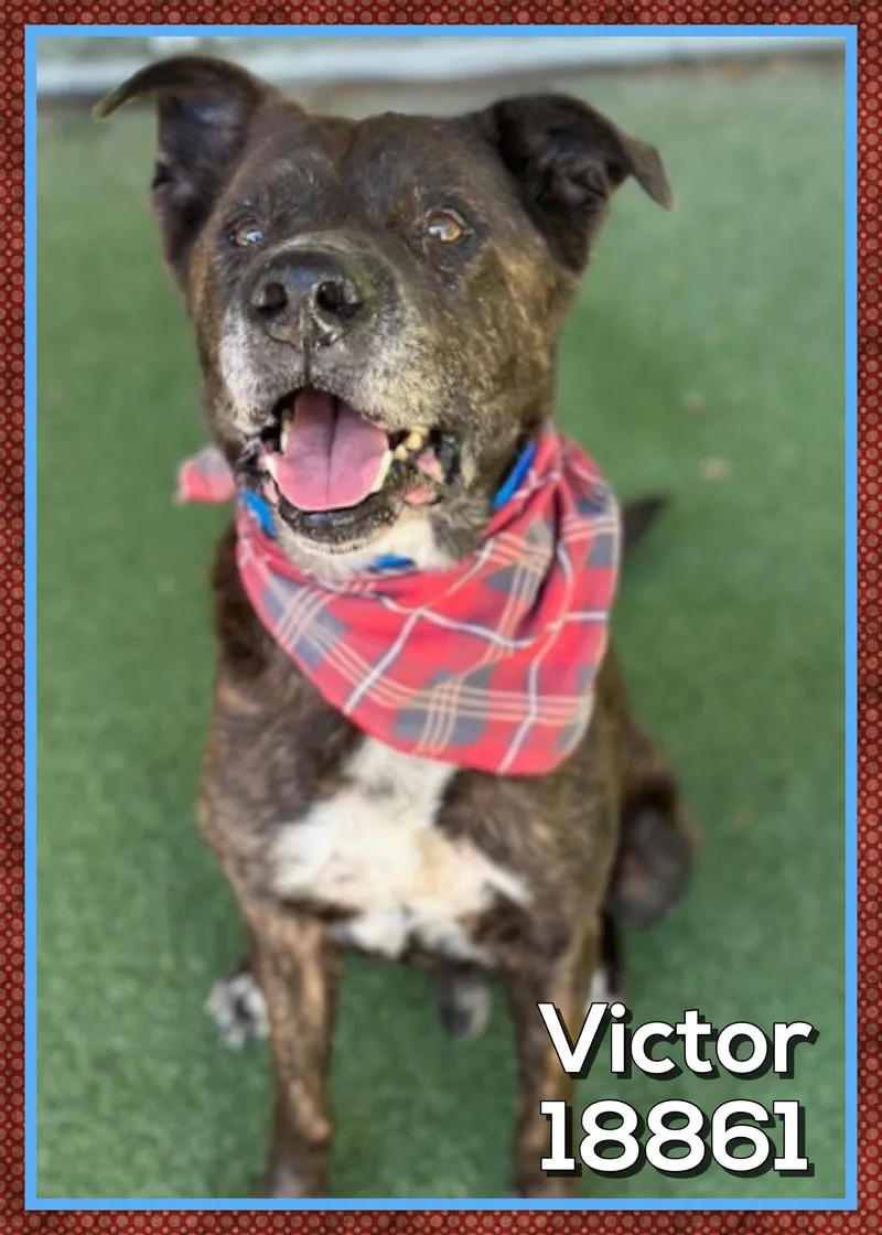 Victor thumbnail 2