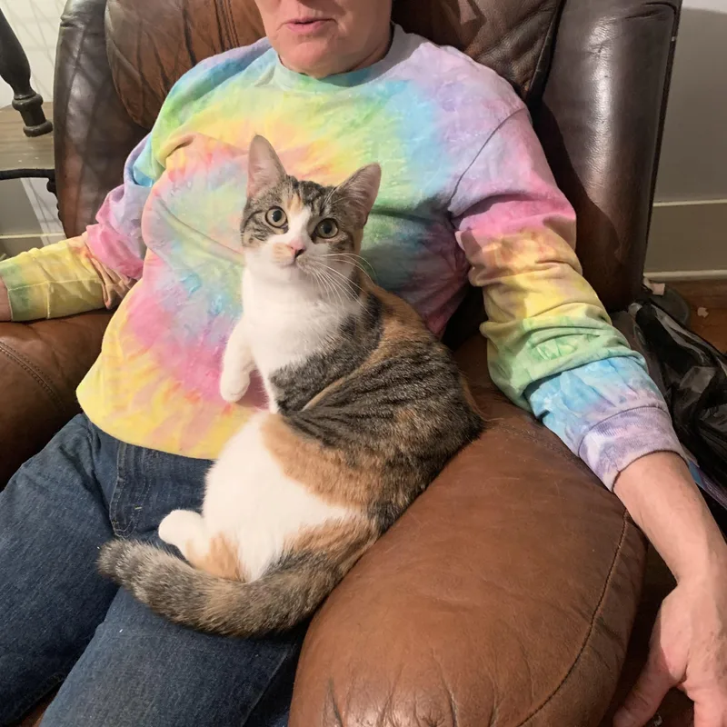 Sweet Sweet Sweetie thumbnail 4