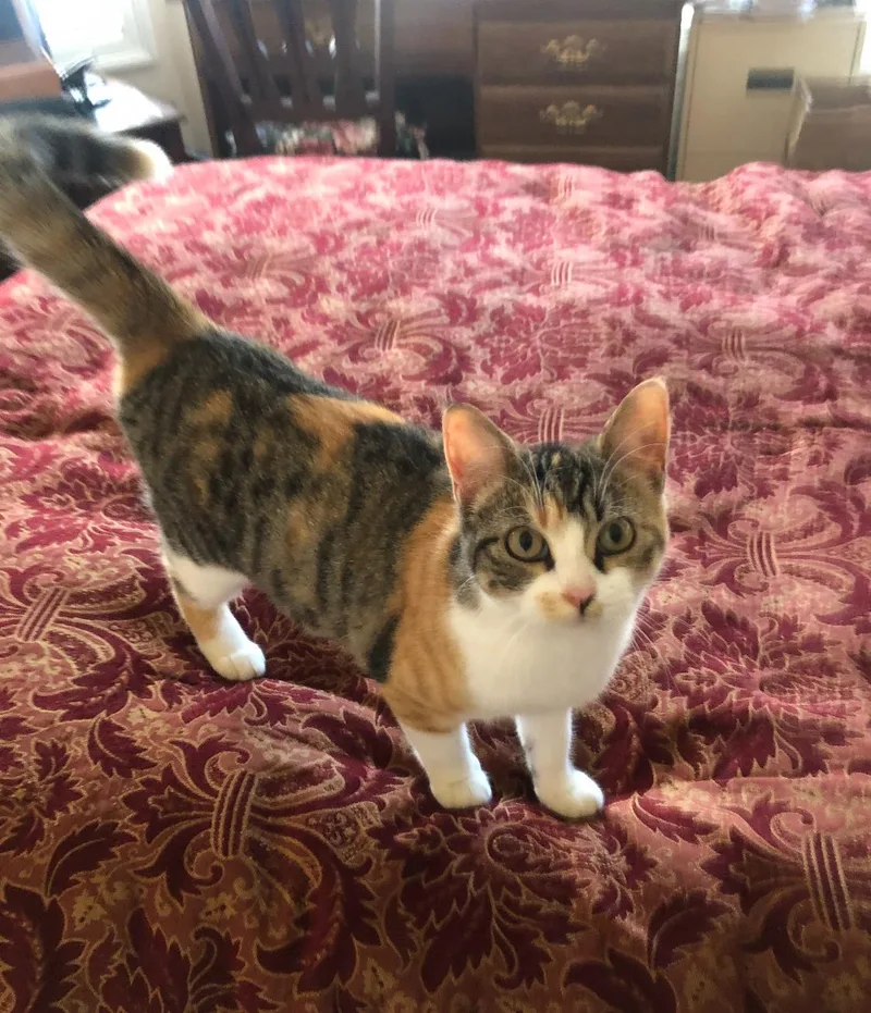 Sweet Sweet Sweetie thumbnail 5