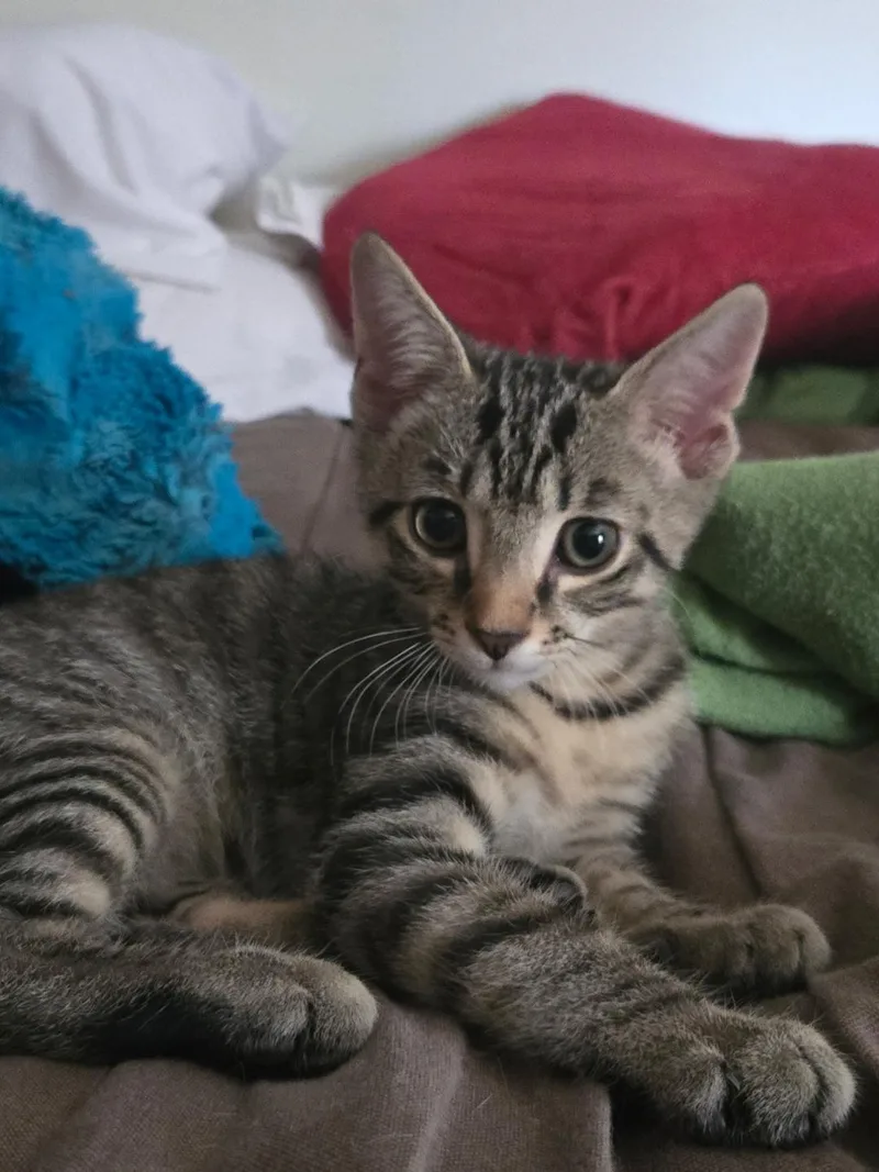 Demetri and Alastor BONDED thumbnail 2