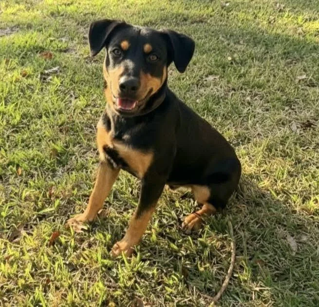 Pawl Rudd thumbnail 2