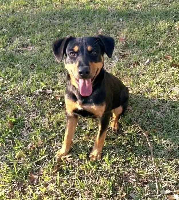 Pawl Rudd thumbnail 5