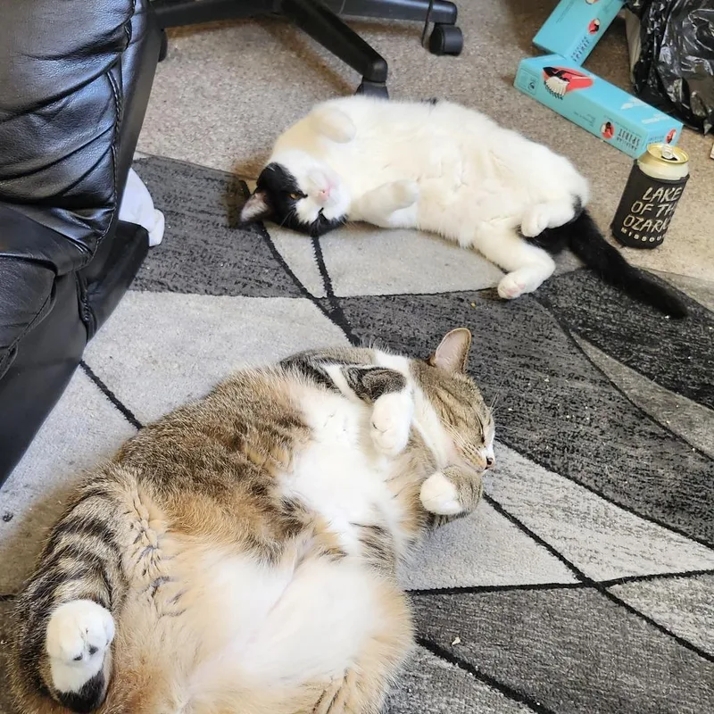 Zero  Home To thumbnail 2