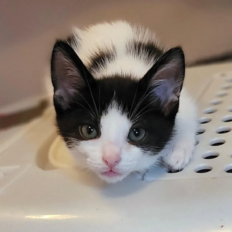 Zero  Home To thumbnail 3