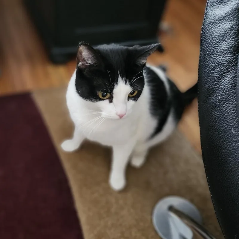 Zero  Home To thumbnail 4