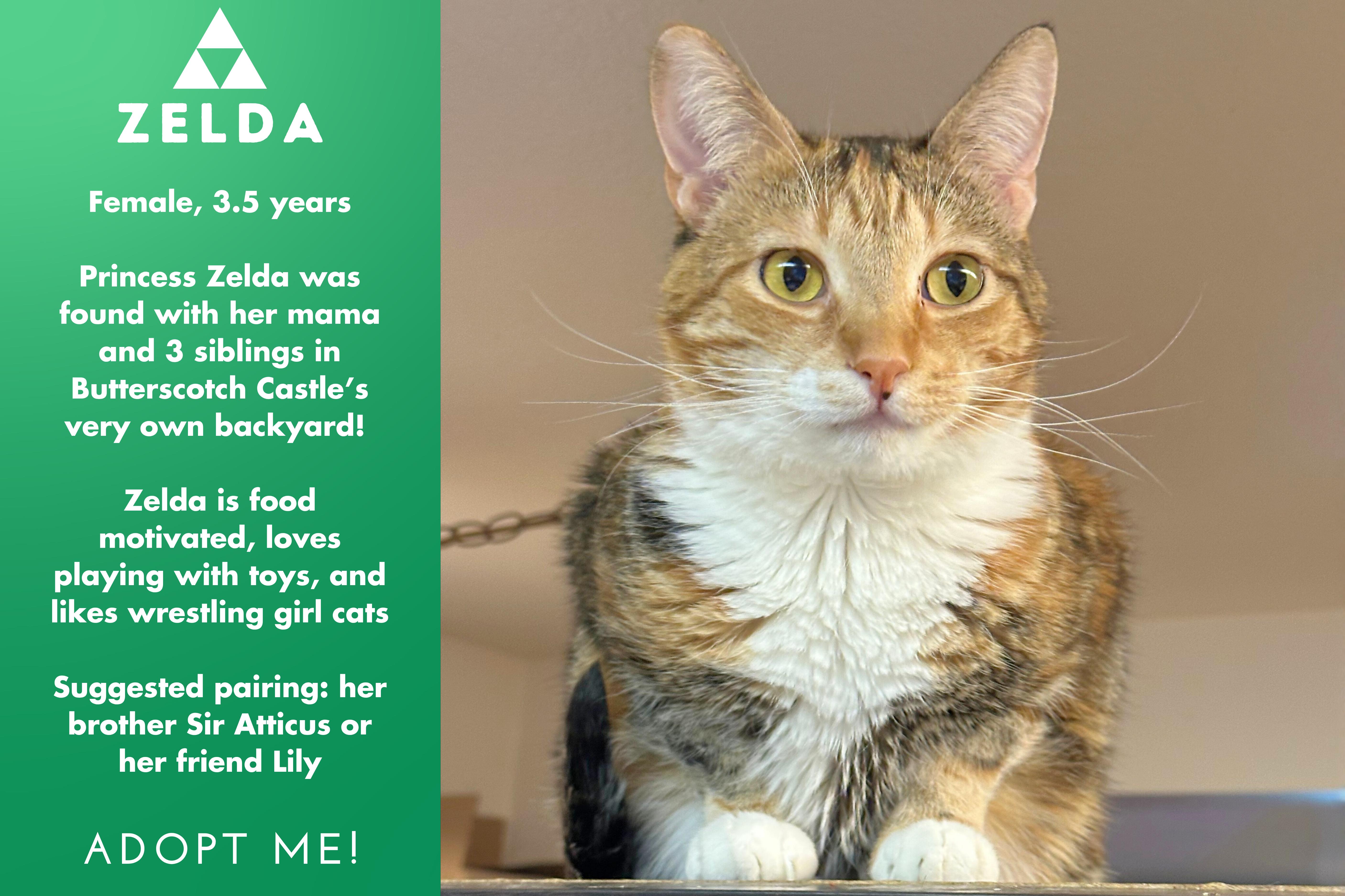 Princess Zelda thumbnail 2