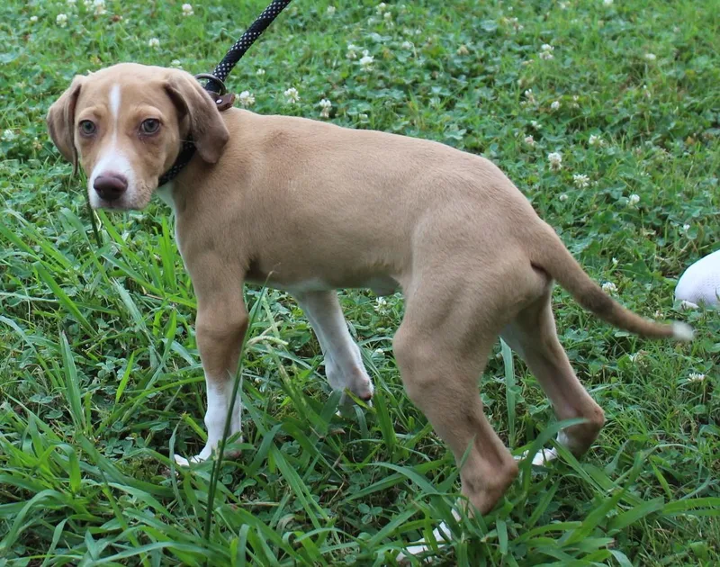 Tucker