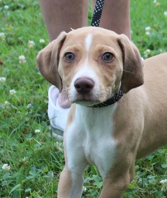 Tucker thumbnail 2