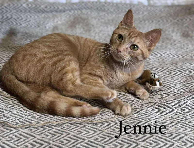 Jennie thumbnail 3