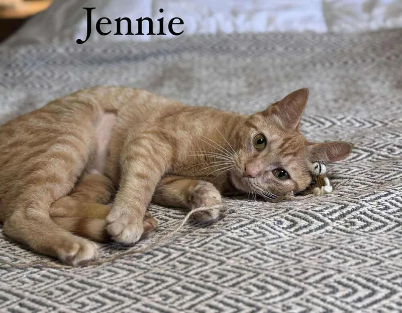 Jennie thumbnail 4