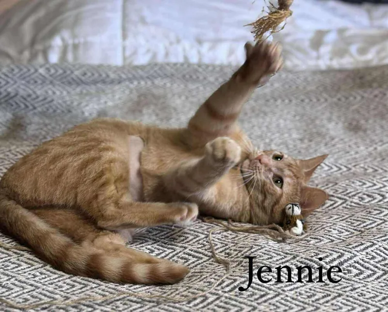 Jennie thumbnail 5