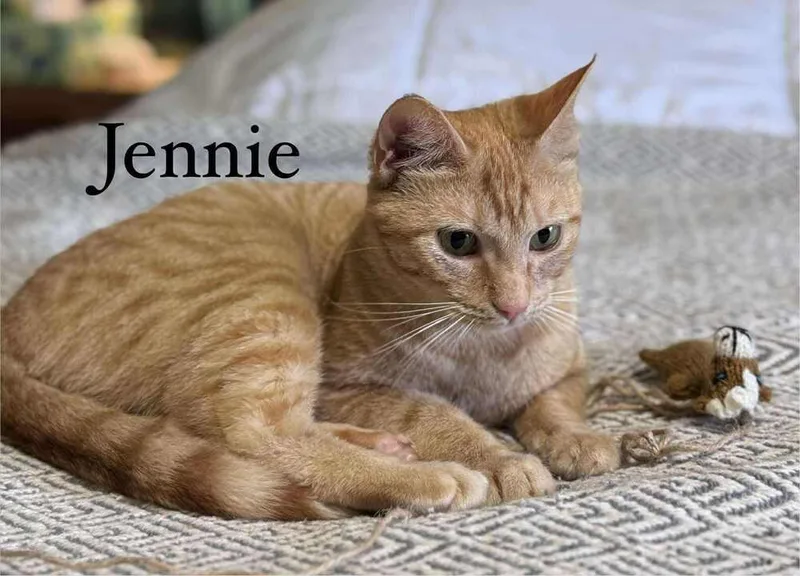 Jennie thumbnail 6
