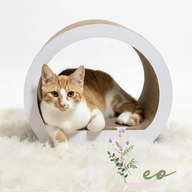 Leo And Louie thumbnail 3