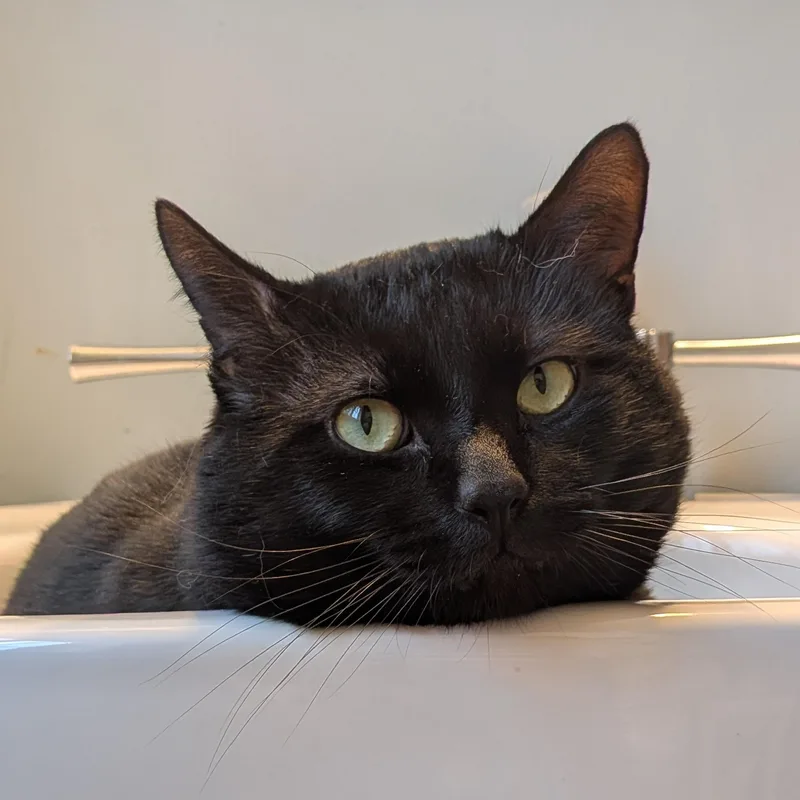 Mr. Boy...he’s My Sweet