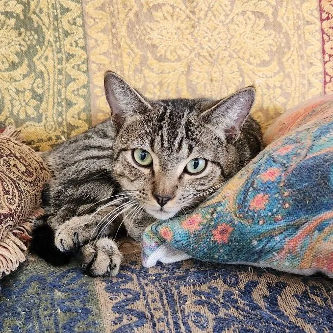 Sammy Bonded With Archie thumbnail 2