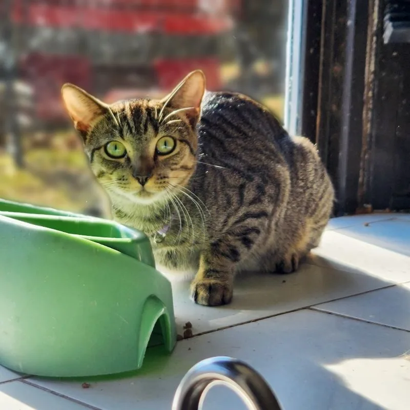 Sammy Bonded With Archie thumbnail 3