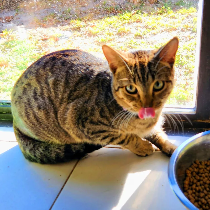 Sammy Bonded With Archie thumbnail 4