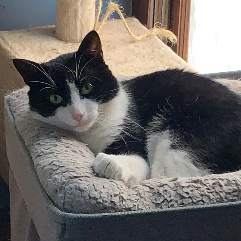 Mr Rogers thumbnail 2