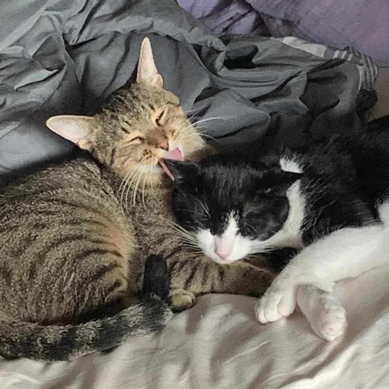 Mr Rogers thumbnail 3