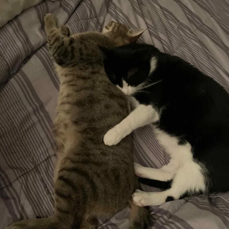 Mr Rogers thumbnail 4