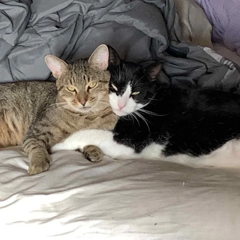 Mr Rogers thumbnail 5