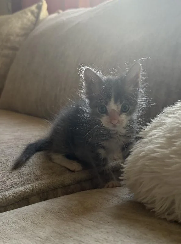 Benny