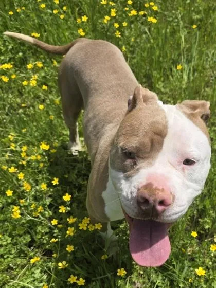 Sprinkle thumbnail 2