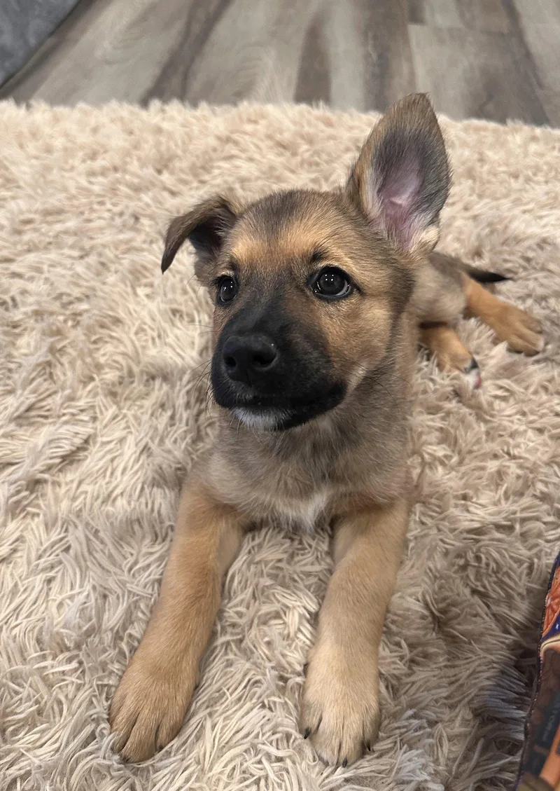 Otter Pop thumbnail 2