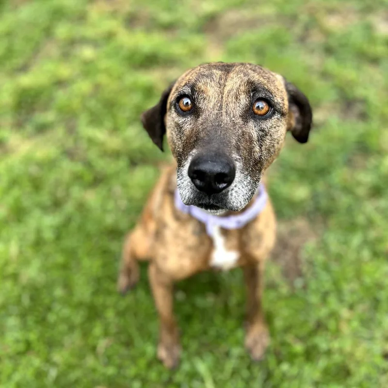 Ellie