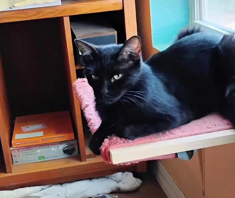 Sabrina thumbnail 3