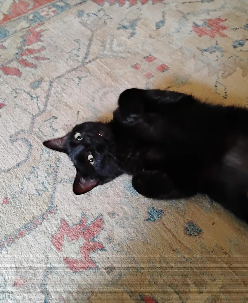 Sabrina thumbnail 4