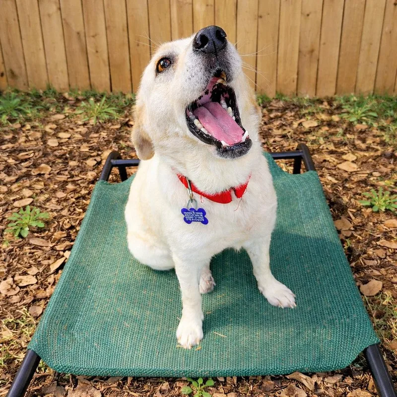 Mary Kate thumbnail 2