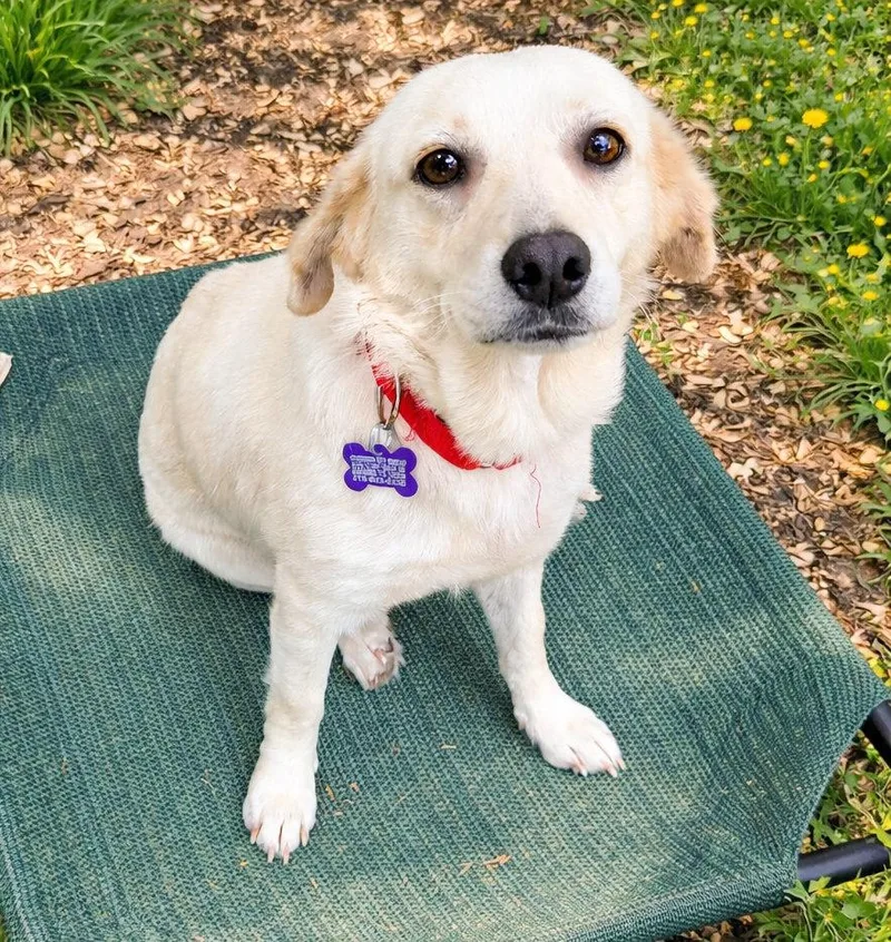 Mary Kate thumbnail 3