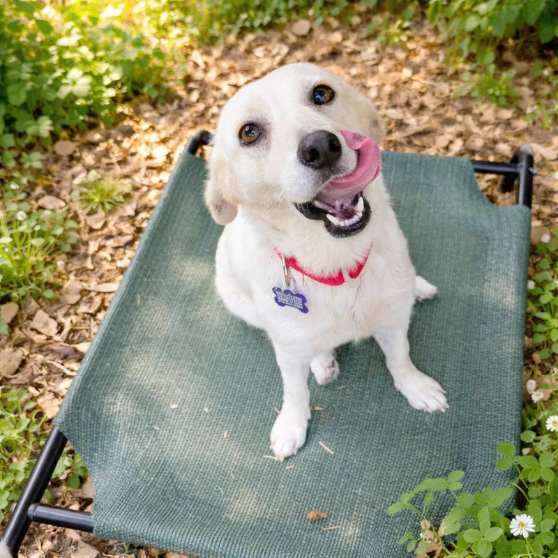 Mary Kate thumbnail 4