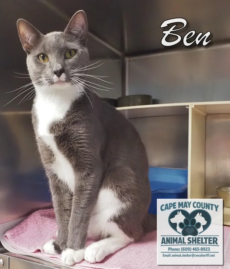 Ben thumbnail 5
