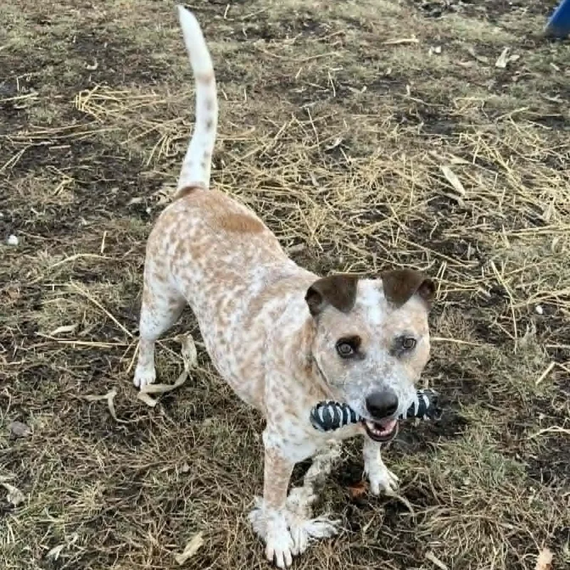 Jefferson thumbnail 2