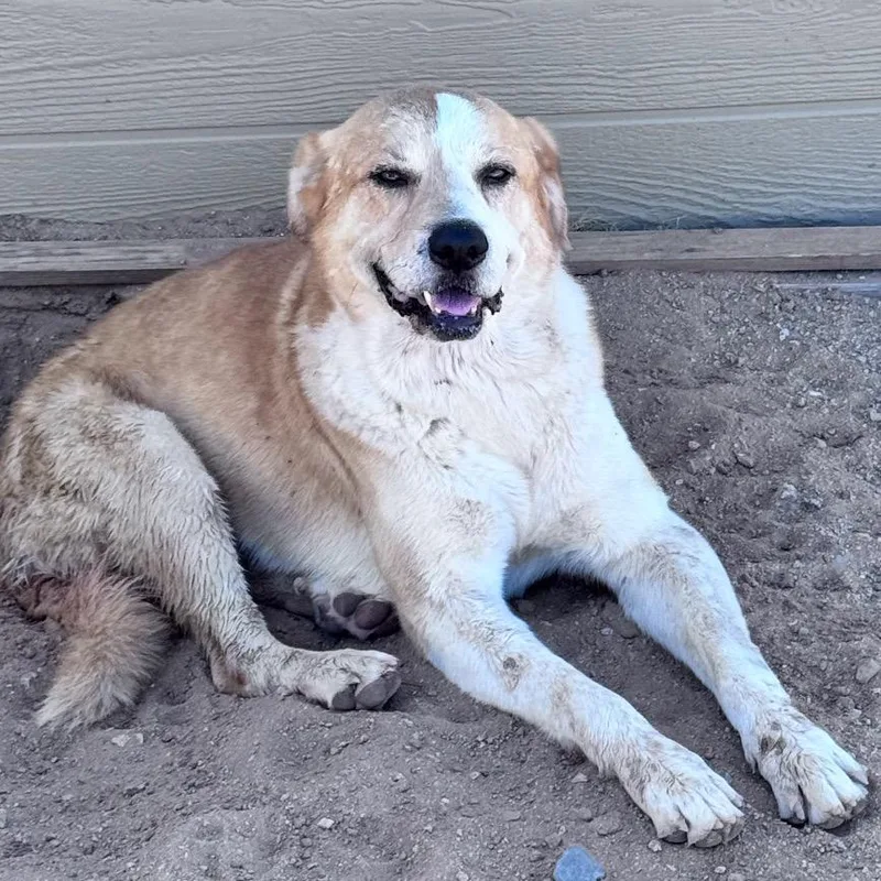 Solevino thumbnail 2