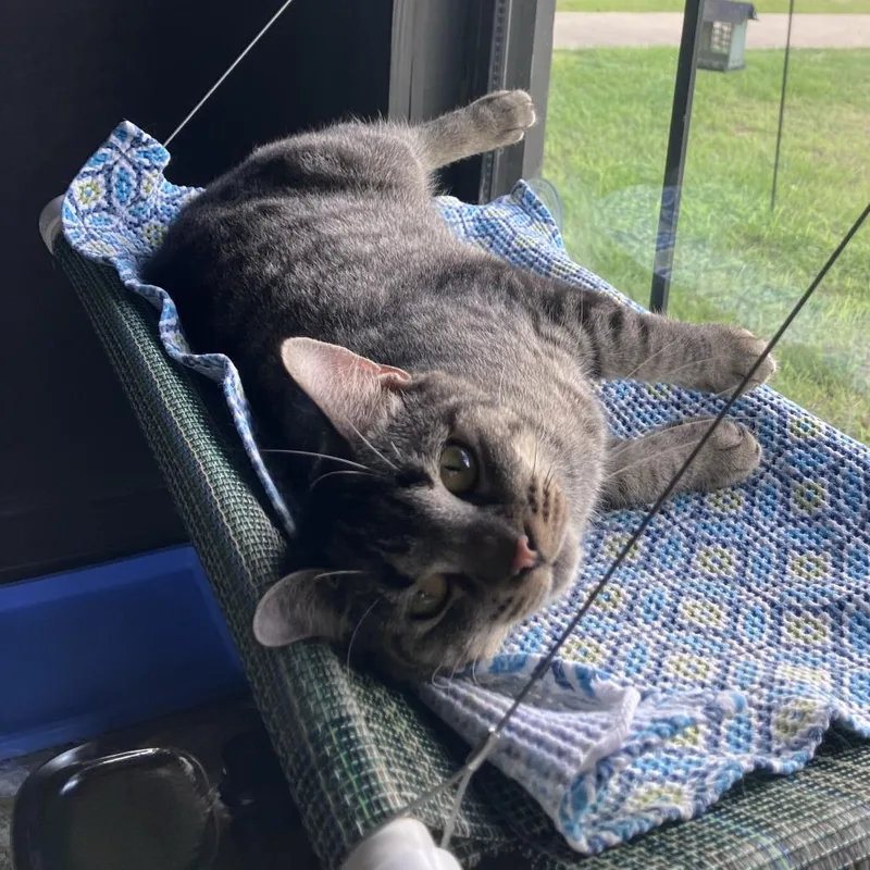 Catrick Swayze