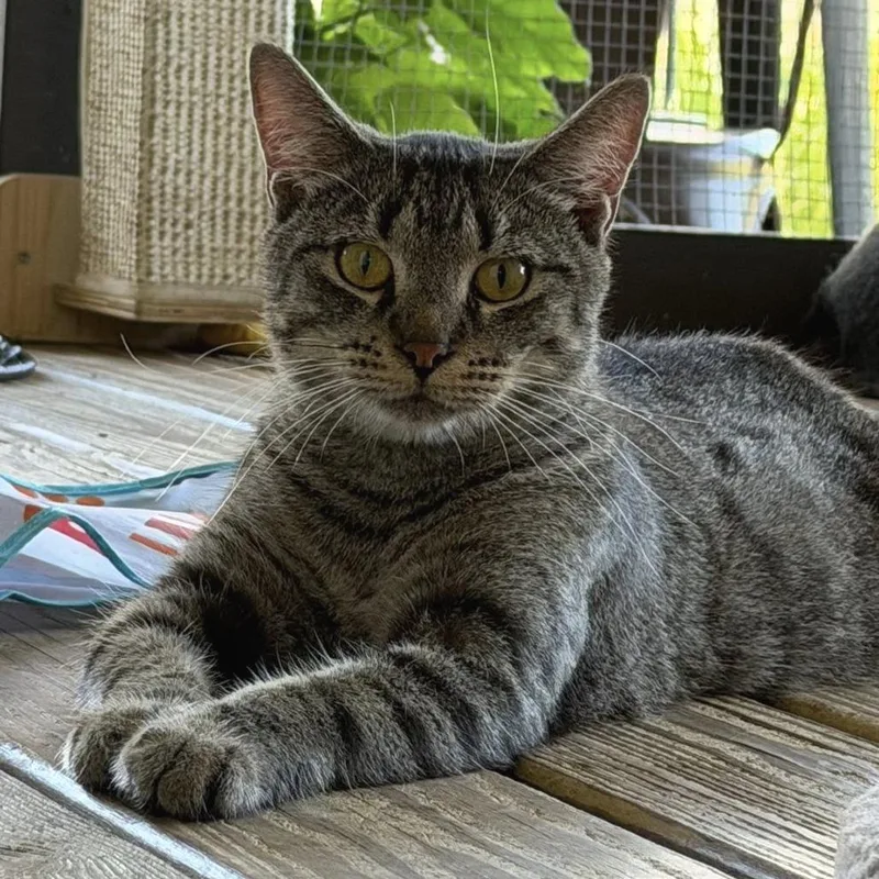 Catrick Swayze thumbnail 4